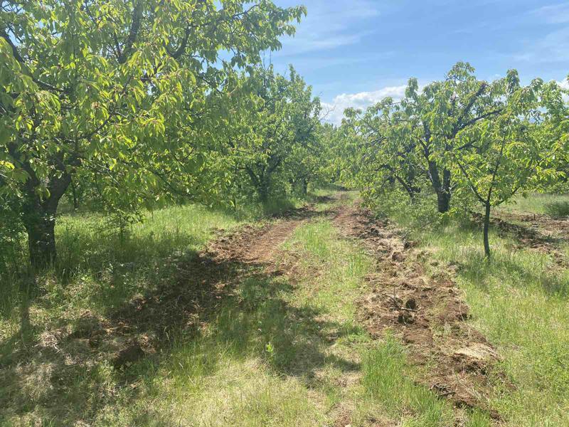 ������� ���������� ���� | Imot.bg � ����������� 1