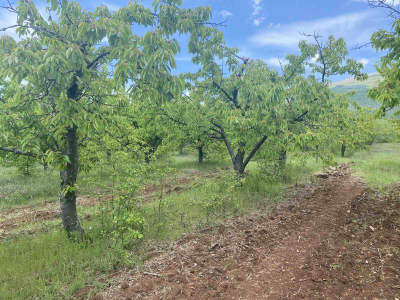 ������� ���������� ���� | Imot.bg � ����������� 10