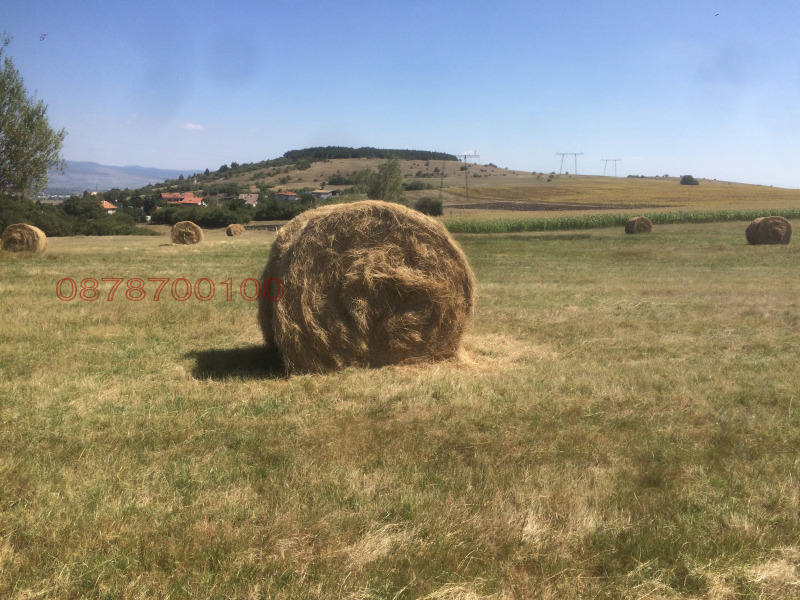 Продаја  Плот регион Софиа , Пожарево , 10000 м2 | 44202826 - слика [2]