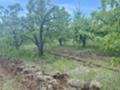 Продава ЗЕМЕДЕЛСКА ЗЕМЯ, с. Горна Гращица, област Кюстендил, снимка 6
