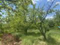 Продава ЗЕМЕДЕЛСКА ЗЕМЯ, с. Горна Гращица, област Кюстендил, снимка 8