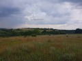 Продава ЗЕМЕДЕЛСКА ЗЕМЯ, с. Николаевка, област Варна, снимка 5