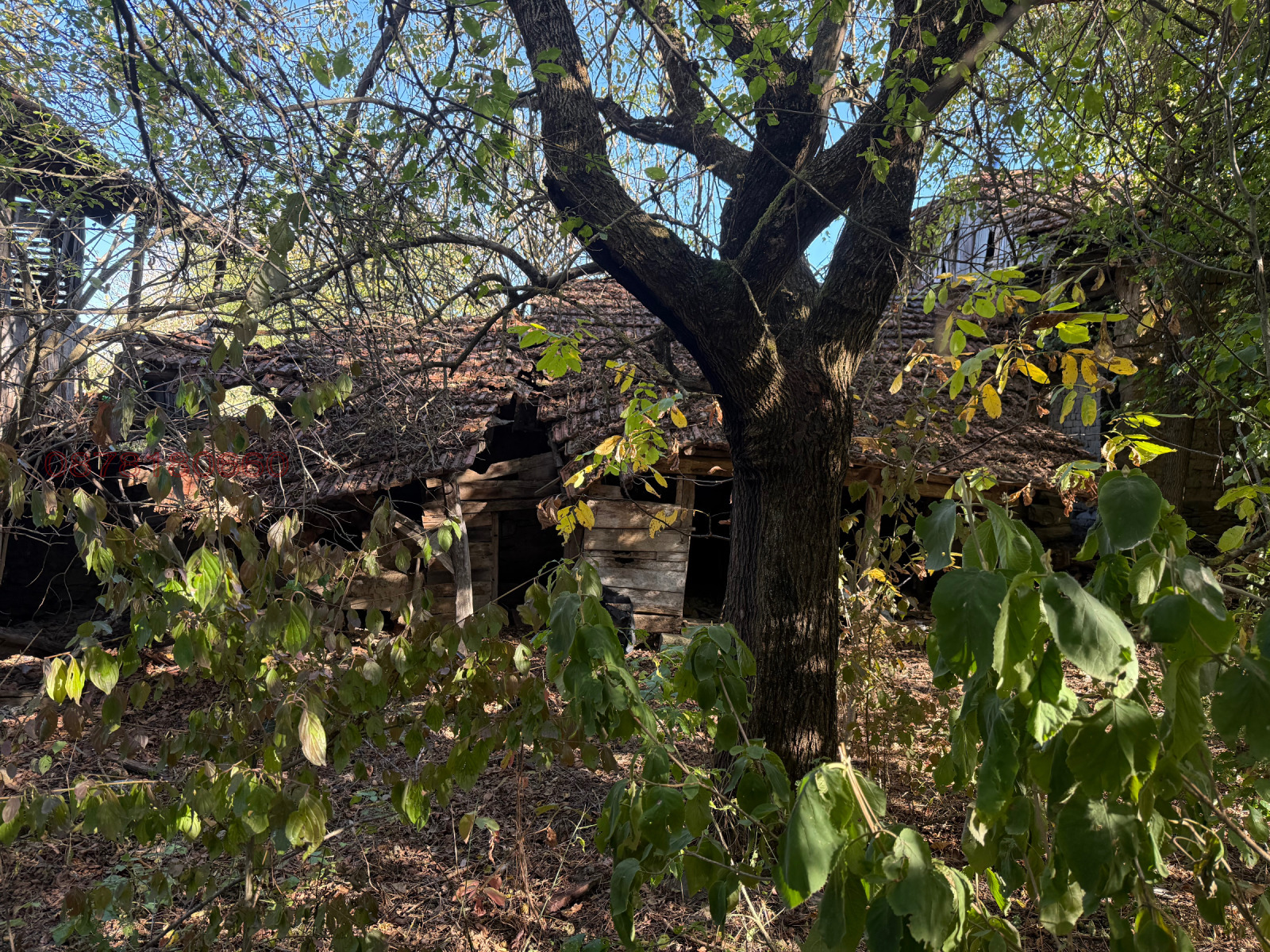 ������� ���� | Imot.bg � ����������� 12