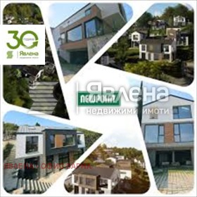 ����� ������� ����,���� �����, ����������