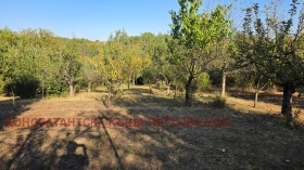 ������� ���� | Imot.bg � ����� ������ 8