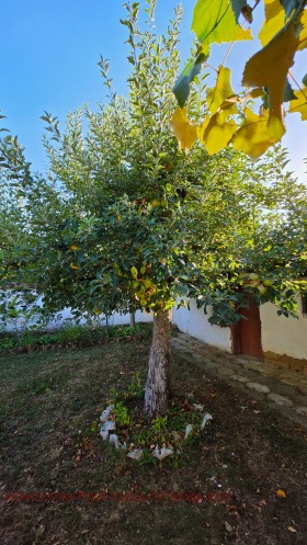 ������� ���� | Imot.bg � ����� ������ 3