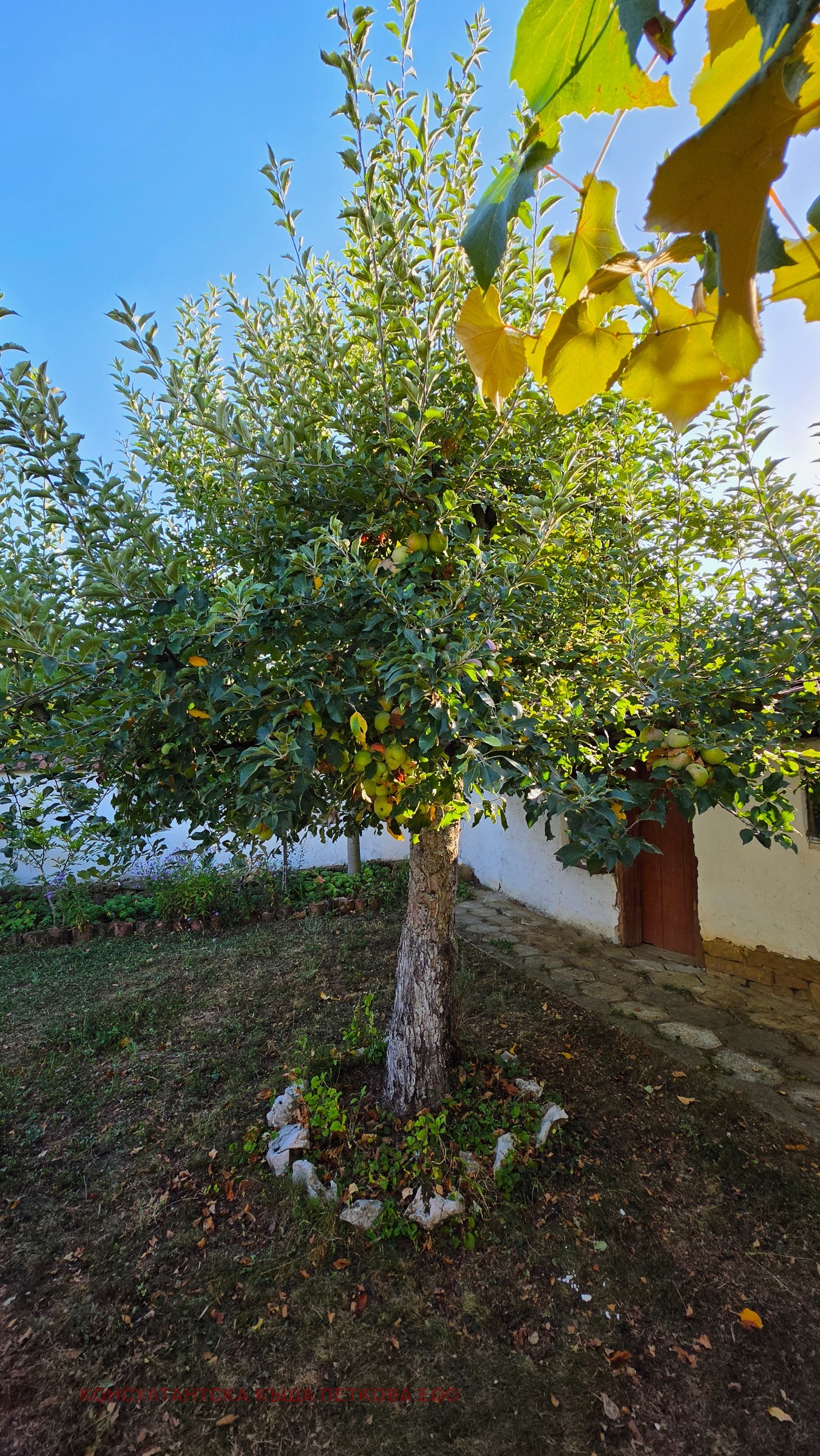 Продава КЪЩА, с. Радювене, област Ловеч, снимка 3 - Къщи - 56074293