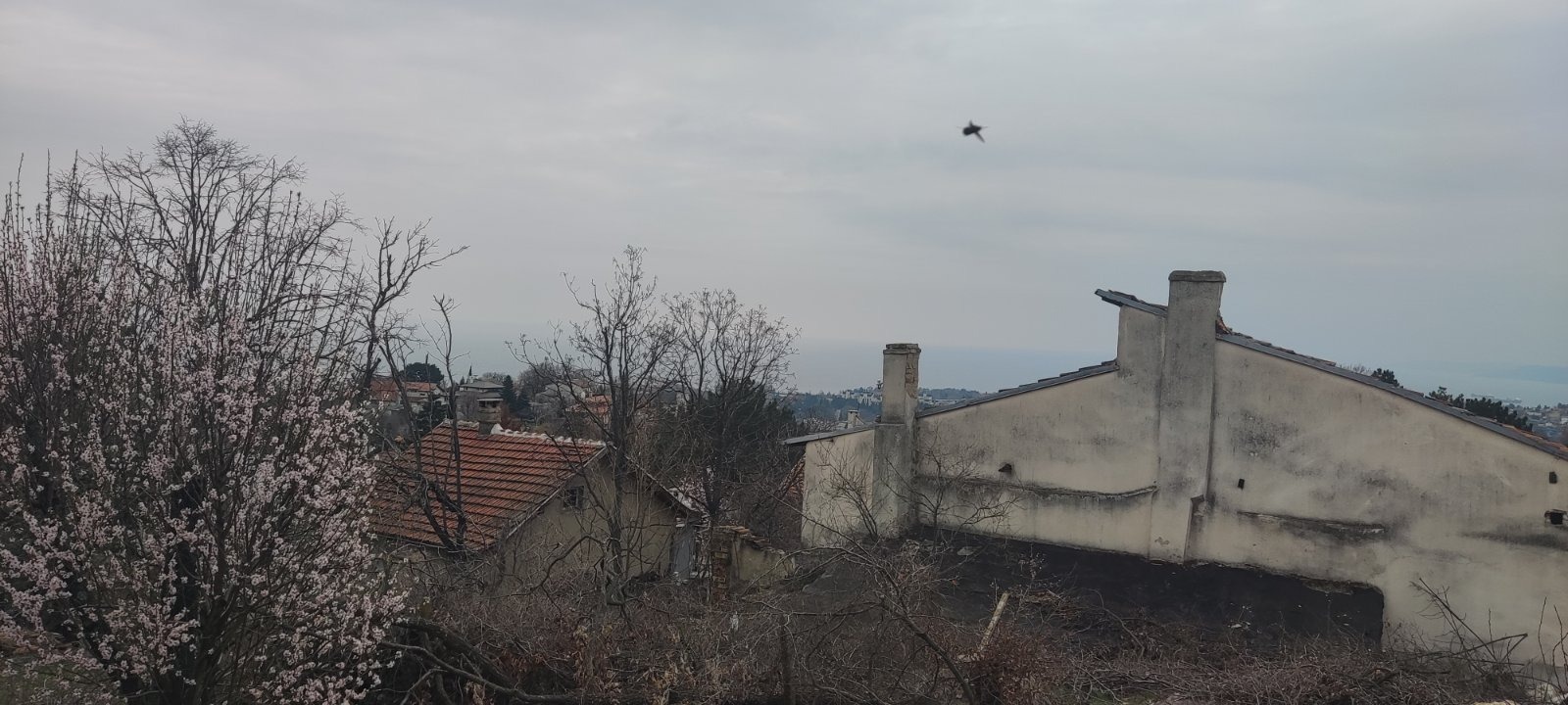 Продава ПАРЦЕЛ, гр. Варна, м-т Манастирски рид, снимка 7 - Парцели - 53956938