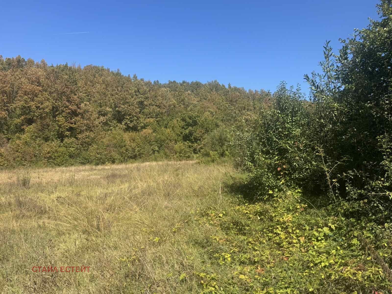 Продава ПАРЦЕЛ, с. Рибарица, област София област, снимка 2 - Парцели - 56250898