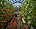 Продава ПАРЦЕЛ, гр. София, м-т Детски град, снимка 10