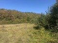 Продава ПАРЦЕЛ, с. Рибарица, област София област, снимка 2
