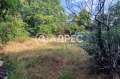 Продава ПАРЦЕЛ, област Варна, с. Страшимирово • 75000 € / 146687.25 лв. • 98837291 1