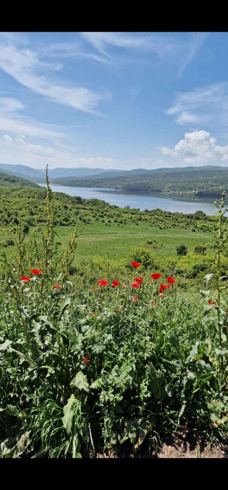 Продава ЗЕМЕДЕЛСКА ЗЕМЯ в област София, гр. София - 140 дка / 1 400 000 € » 2 738 162.00 лв., АГРОТОН