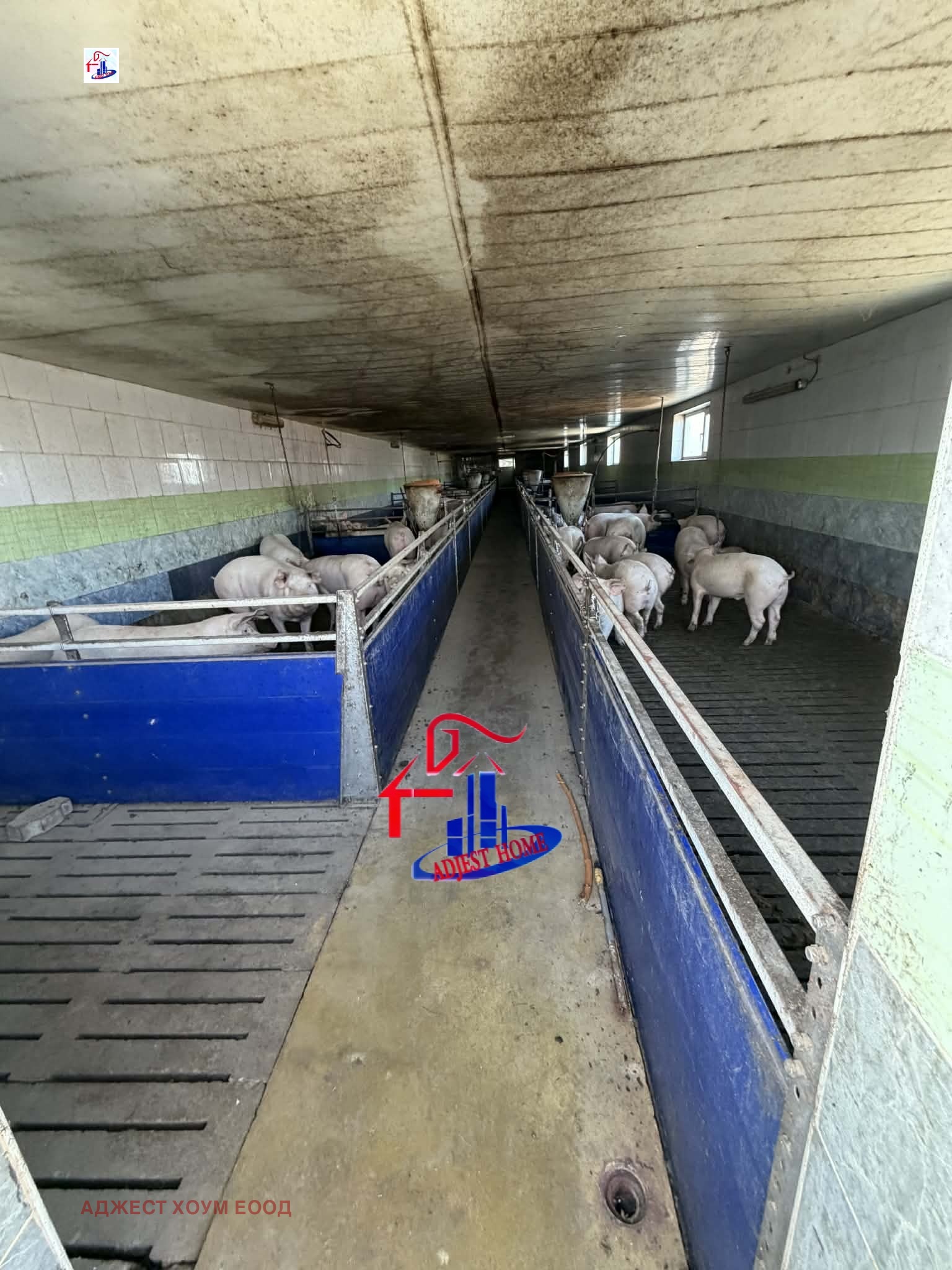 ������� ����� | Imot.bg � ����������� 8