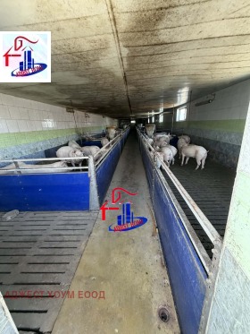 ������� ����� | Imot.bg � ����� ������ 8