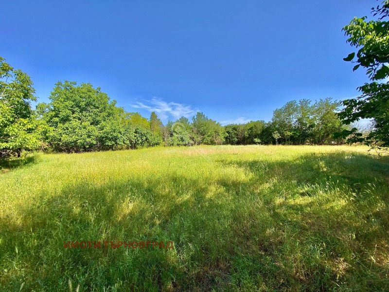 Na prodej  Dům oblast Veliko Tarnovo , Ivanča , 83 m2 | 26982968 - obraz [9]