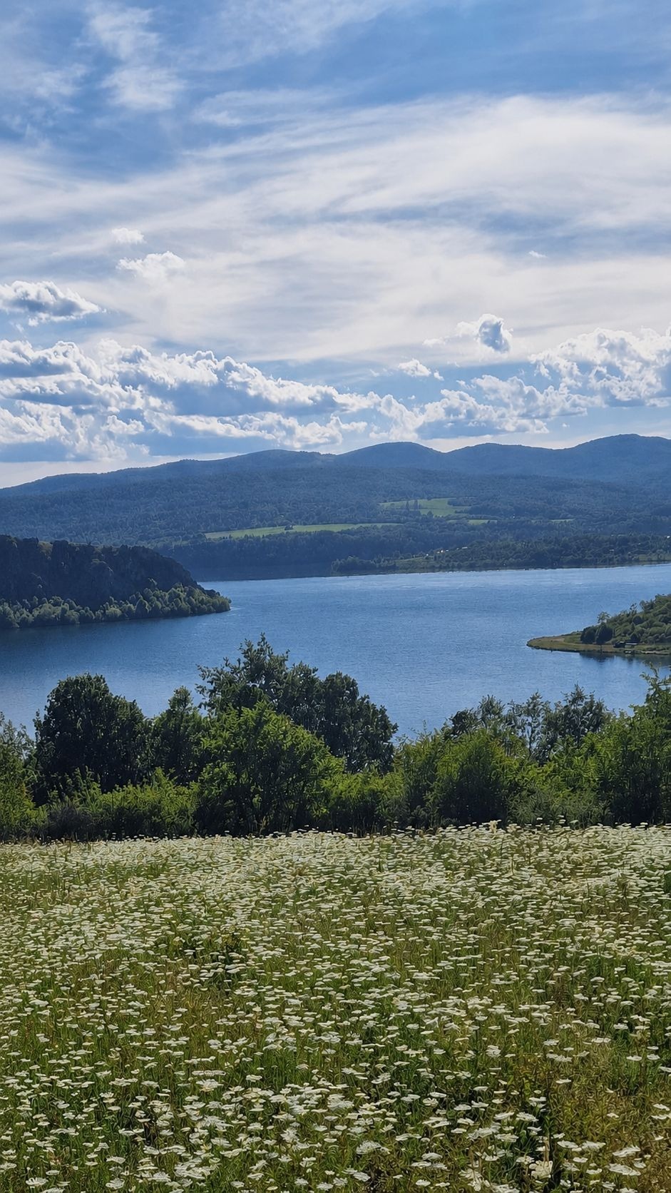Продава ЗЕМЕДЕЛСКА ЗЕМЯ, гр. София, област София-град, снимка 14 - Земеделска земя - 55827519