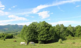 Парцел гр. Априлци, област Ловеч 1