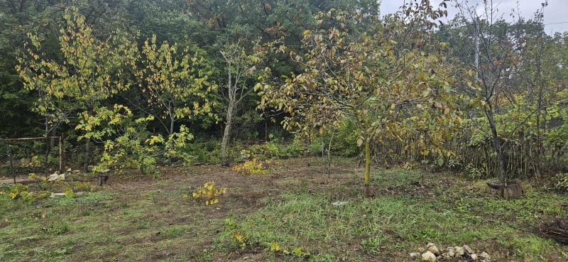 Продава КЪЩА, гр. Варна, м-т Манастирски рид, снимка 4 - Къщи - 52546032