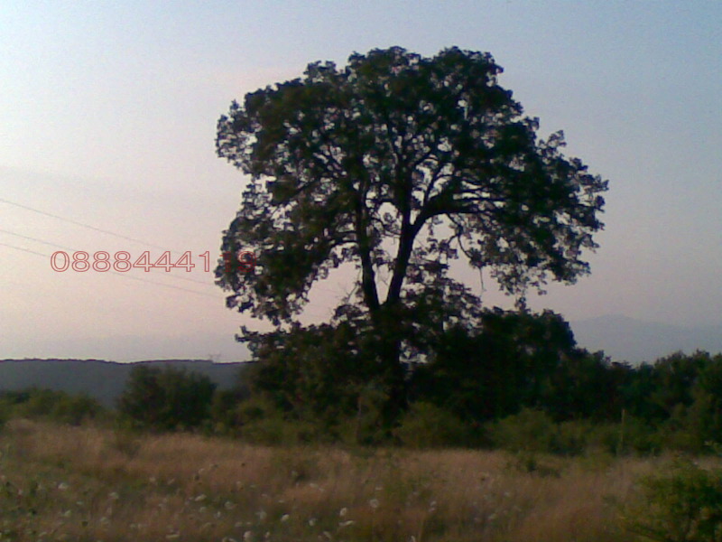 Продава ПАРЦЕЛ, с. Крушовица, област София област, снимка 3 - Парцели - 53447818