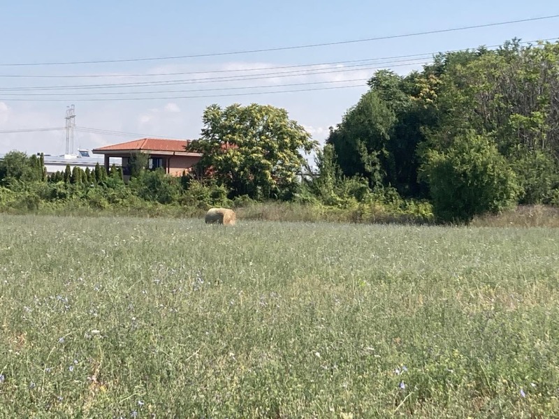 For Sale  Plot Plovdiv , Asenovgradsko shose , 11342 sq.m | 64074043 - image [6]