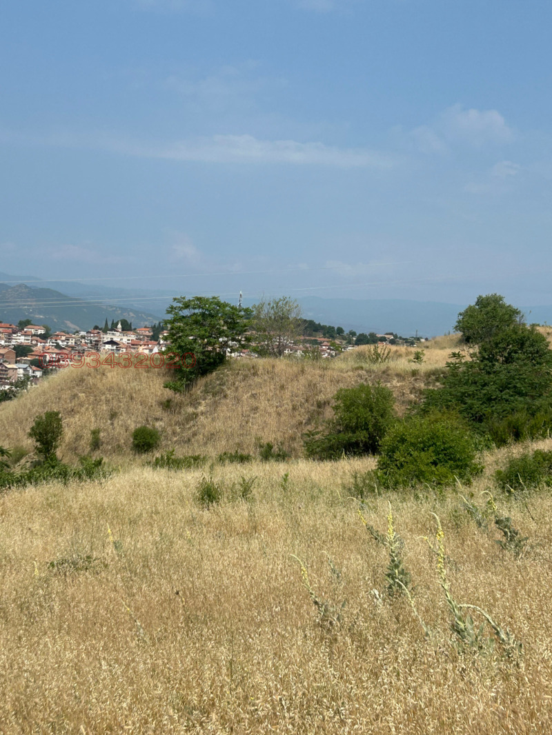 Продава ПАРЦЕЛ, гр. Сандански, област Благоевград, снимка 3 - Парцели - 52784618