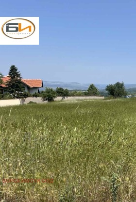 ������ ������� ������