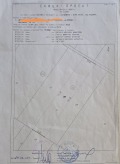 Продава ЗЕМЕДЕЛСКА ЗЕМЯ, с. Кондофрей, област Перник, снимка 3
