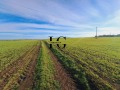 Продава  Парцел област Бургас , с. Александрово , 423 кв.м | 22768091 - изображение [5]