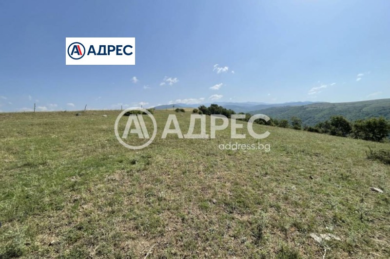 À vendre  Atterrir région Blagoevgrad , Debrene , 2 dka | 51831916 - image [3]