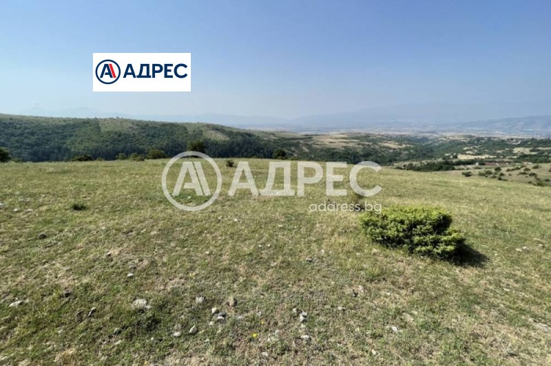 À vendre  Atterrir région Blagoevgrad , Debrene , 2 dka | 51831916