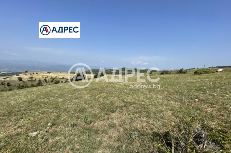 À vendre  Atterrir région Blagoevgrad , Debrene , 2 dka | 51831916 - image [2]