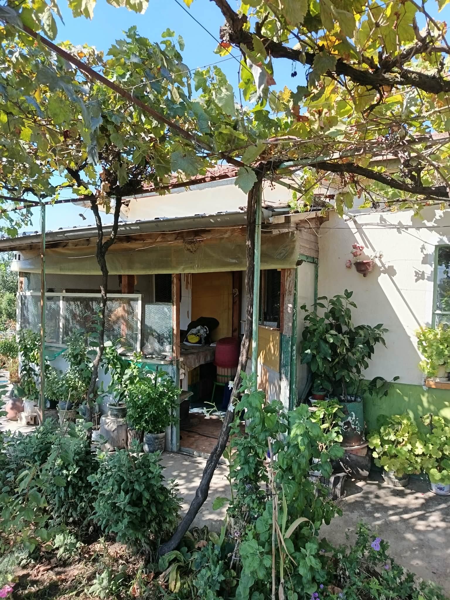 Продава КЪЩА, с. Калояновец, област Стара Загора, снимка 4 - Къщи - 56117051