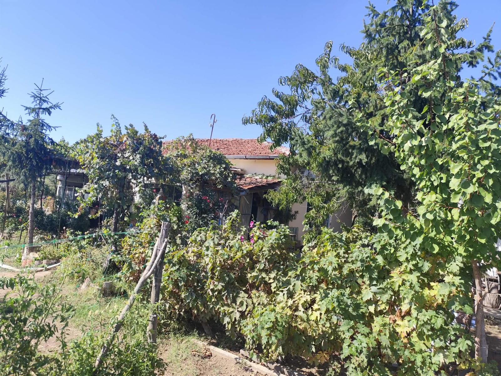 Продава КЪЩА, с. Калояновец, област Стара Загора, снимка 2 - Къщи - 56117051