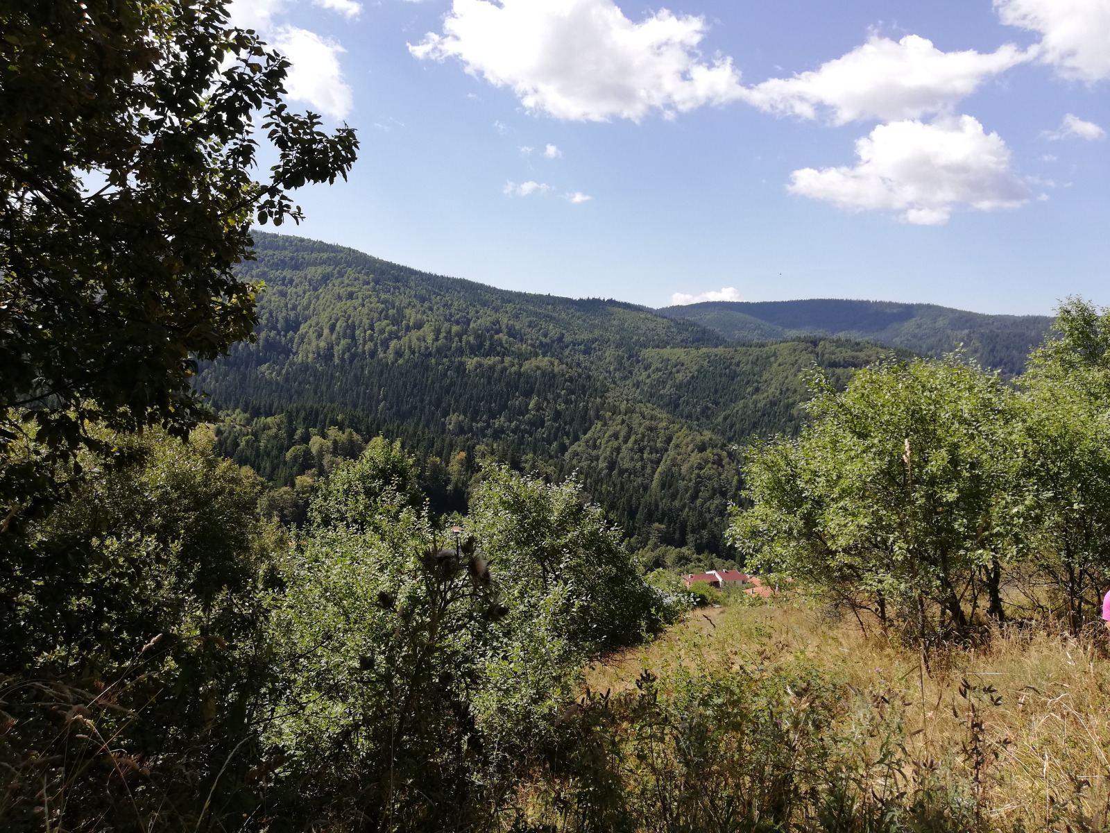 ������� ������ | Imot.bg � ����������� 3