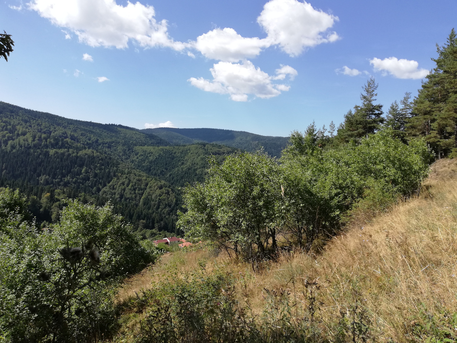 ������� ������ | Imot.bg � ����������� 7