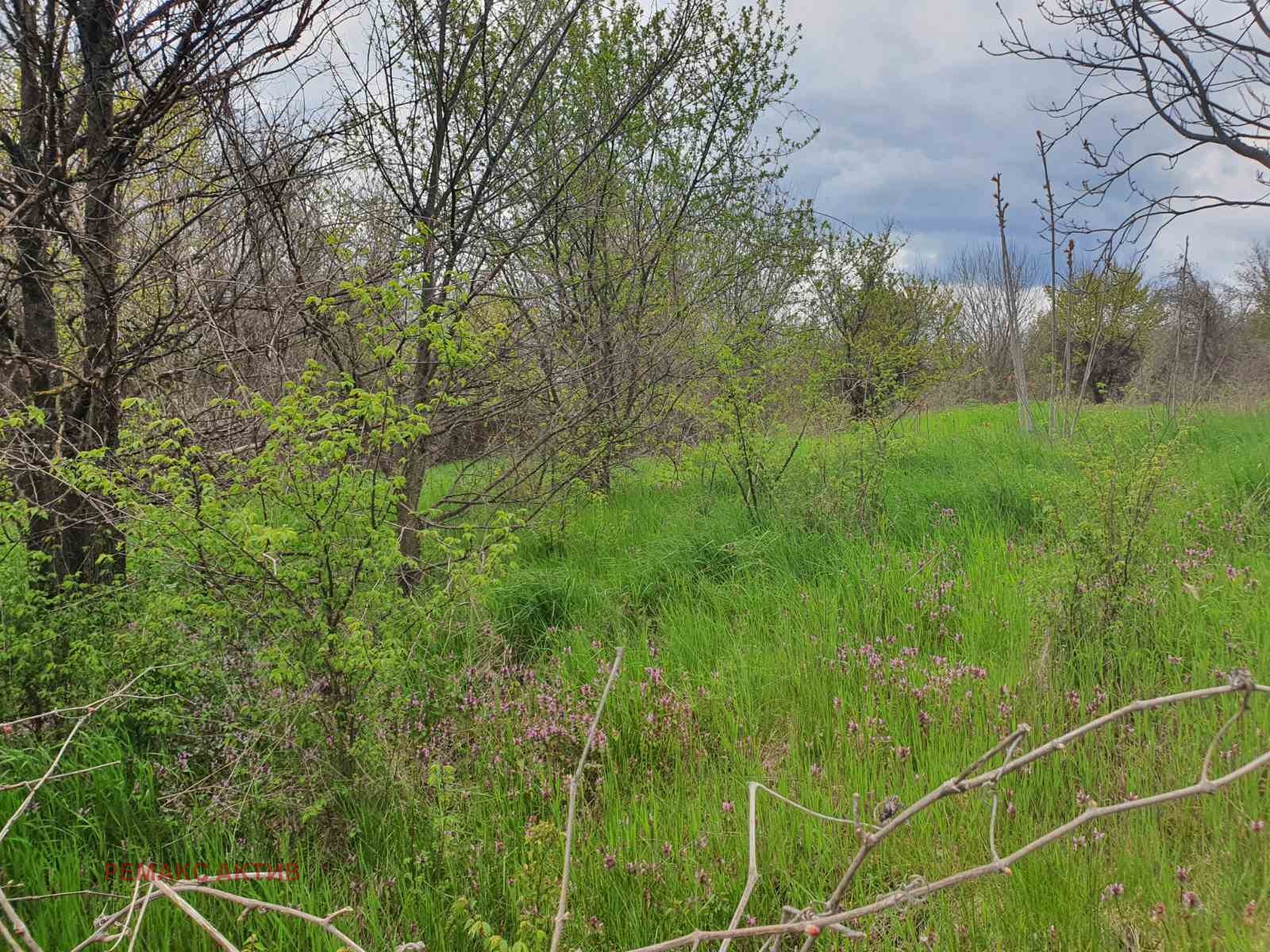 ������� ������ | Imot.bg � ����������� 6