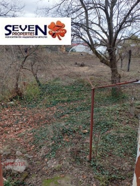 Hus Telisj, region Pleven 14