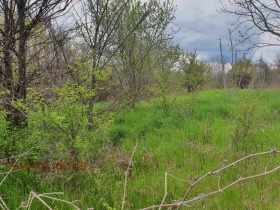 ������� ������ | Imot.bg � ����� ������ 6