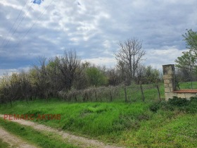 ����� ������� ������,�. �������, ������ �����