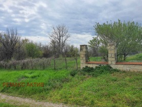 ����� ������� ������,�. �������, ������ �����