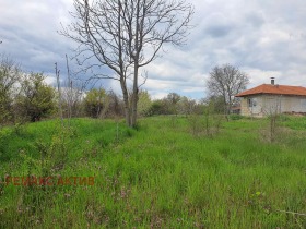 ����� ������� ������,�. �������, ������ �����