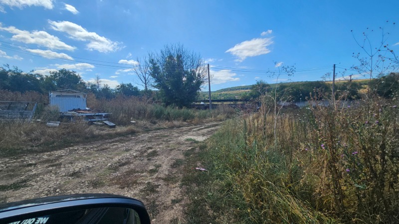 Zu verkaufen  Handlung region Rasgrad , Uschinzi , 4169 qm | 10812192 - Bild [4]
