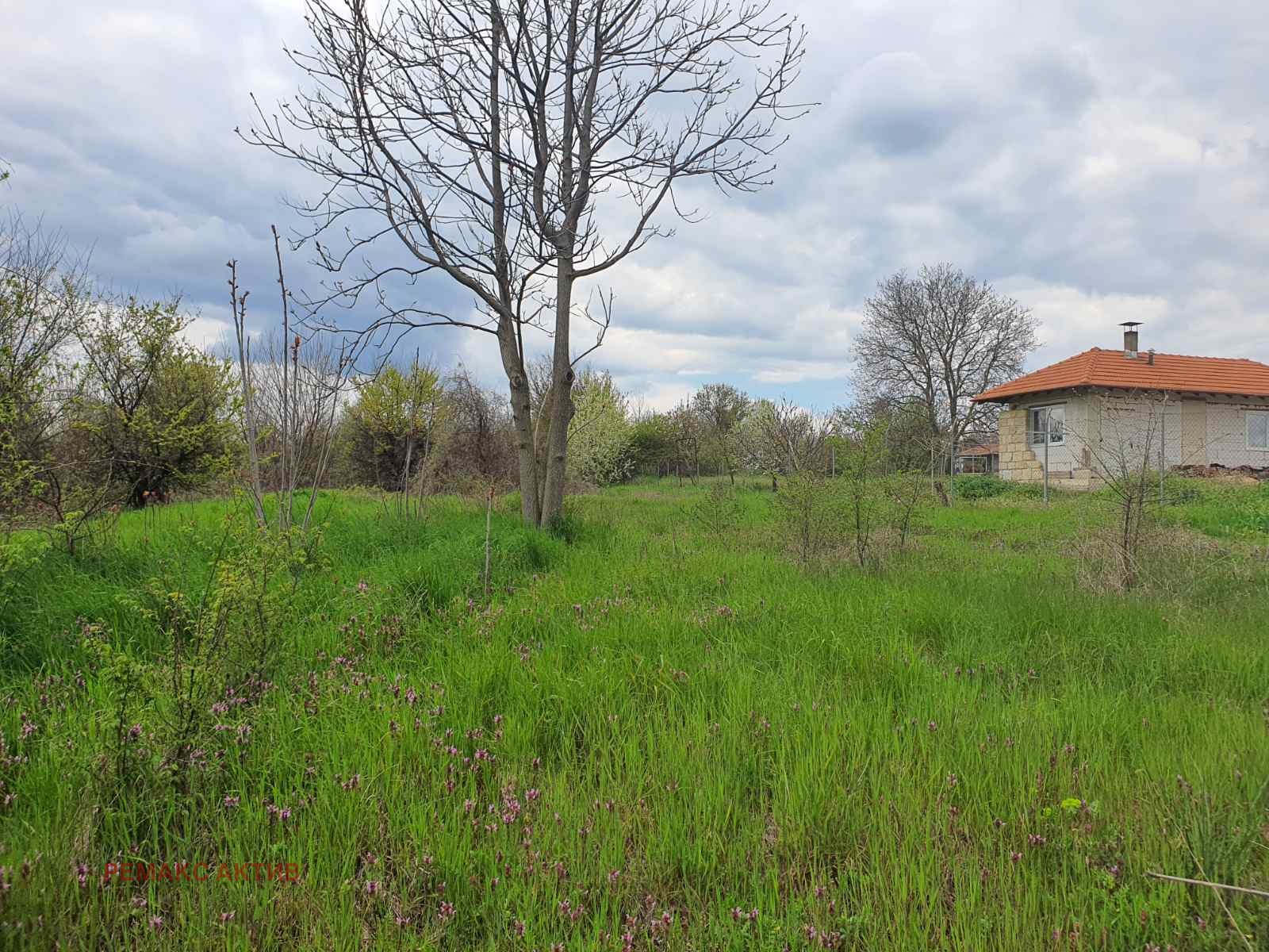 Продава ПАРЦЕЛ, с. Добрина, област Варна, снимка 3 - Парцели - 54251371