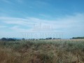 Продава ПАРЦЕЛ, с. Лозенец, област Бургас, снимка 2