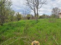 Продава ПАРЦЕЛ, с. Добрина, област Варна, снимка 5