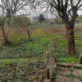 Продава КЪЩА, област Плевен, с. Телиш • 30000 € • 95532497 — Holmes.bg