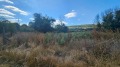 Продава ПАРЦЕЛ, област Разград, с. Ушинци • 120000 € • 83327464 — Holmes.bg
