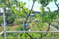 Продава ПАРЦЕЛ, град Варна, м-т Перчемлията • 65000 € / 127128.95 лв. • 31593482 1
