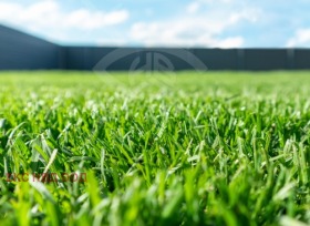 ����� ������� ������,�. ���������, ������ �������